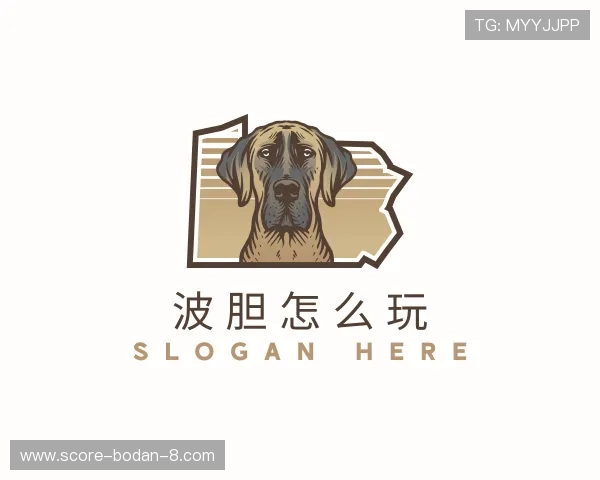 认识大小球